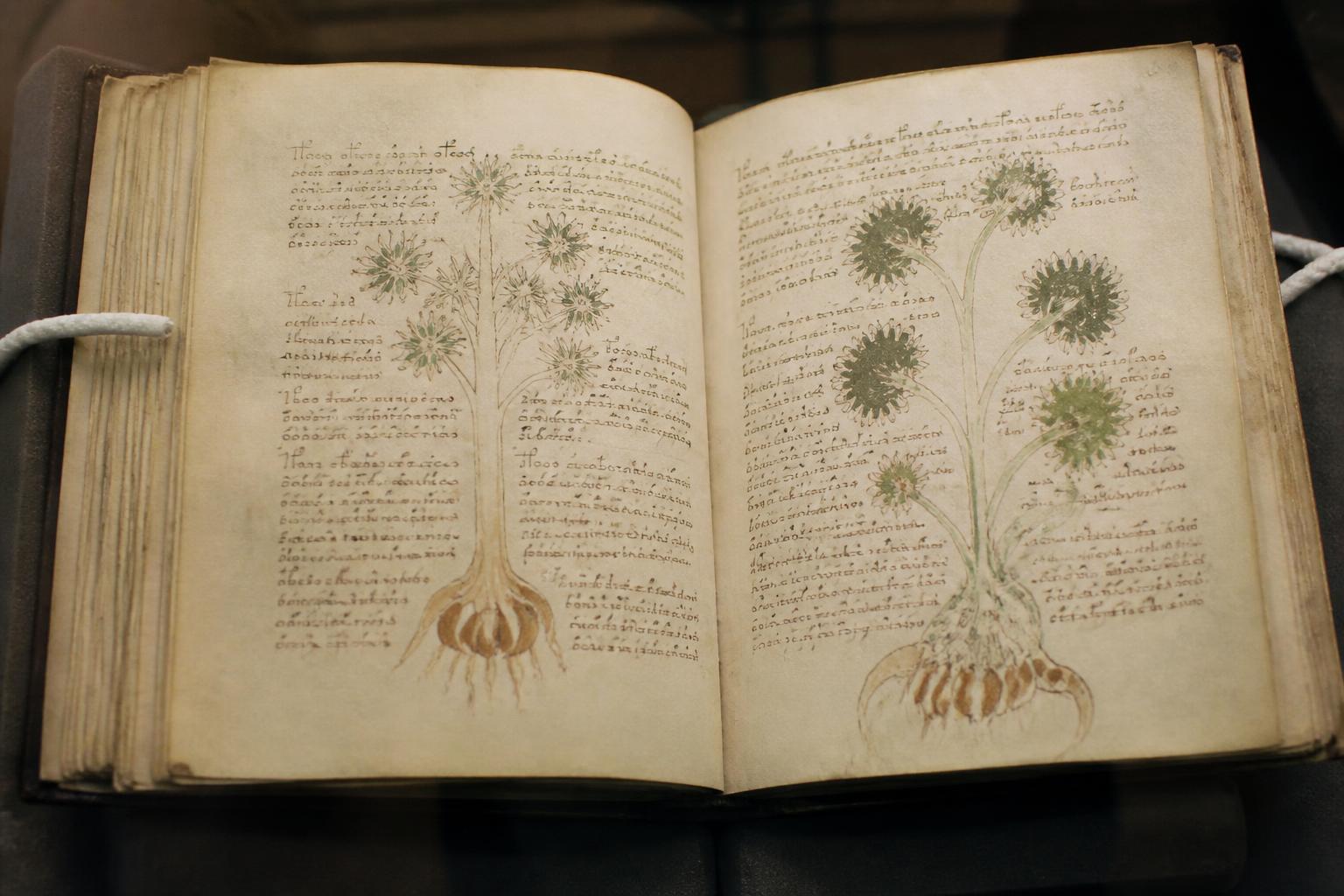 Open Voynich Manuscript pages showing unknown script, botanical drawings and astronomical diagrams.